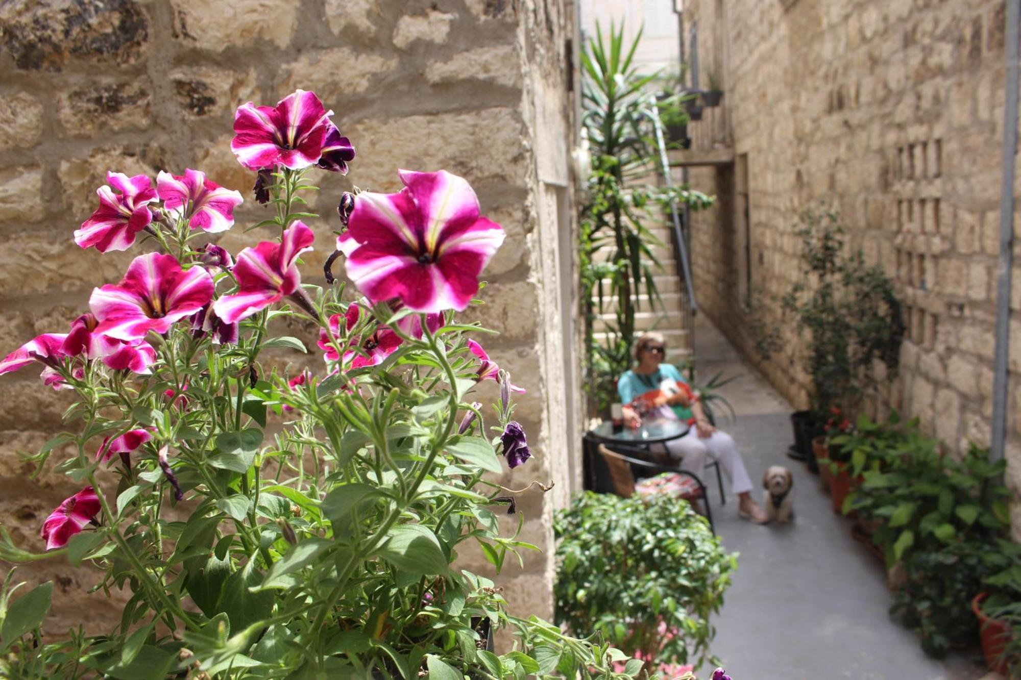 Street Garden *